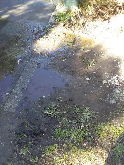 Water Supply, a report photo