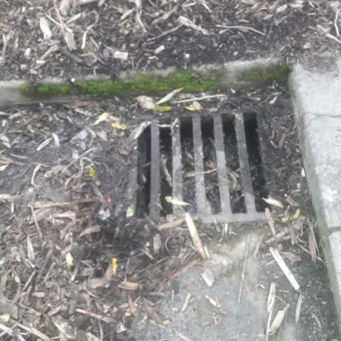 Flooding, a report photo