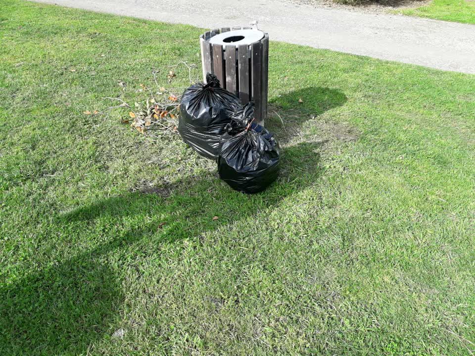 The photograph attached to this parks report