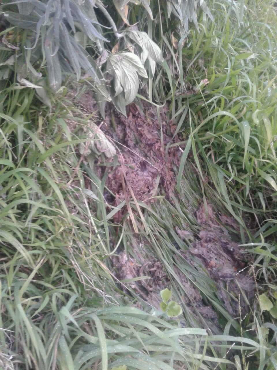 The photograph attached to this wastewater/stormwater report