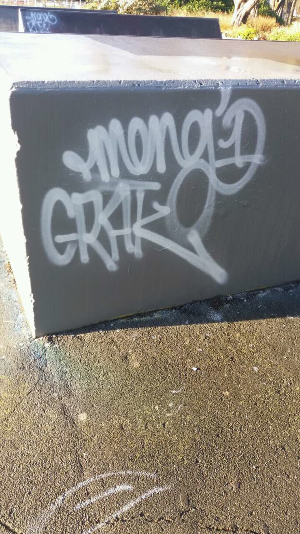 The photograph attached to this graffiti report
