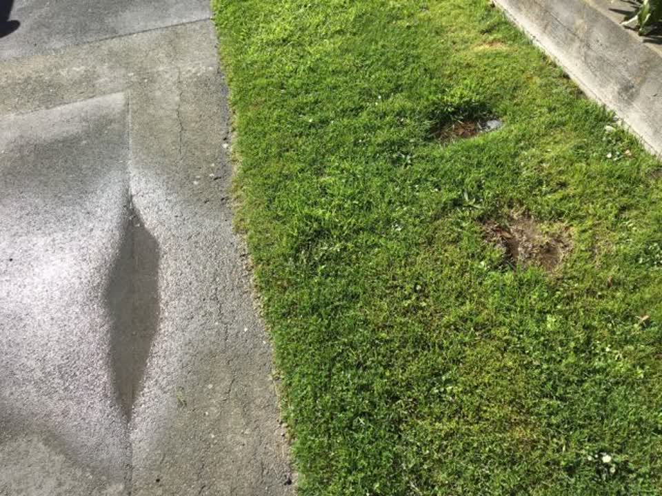 The photograph attached to this water supply report