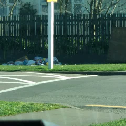 Rubbish/Recycling, a report photo