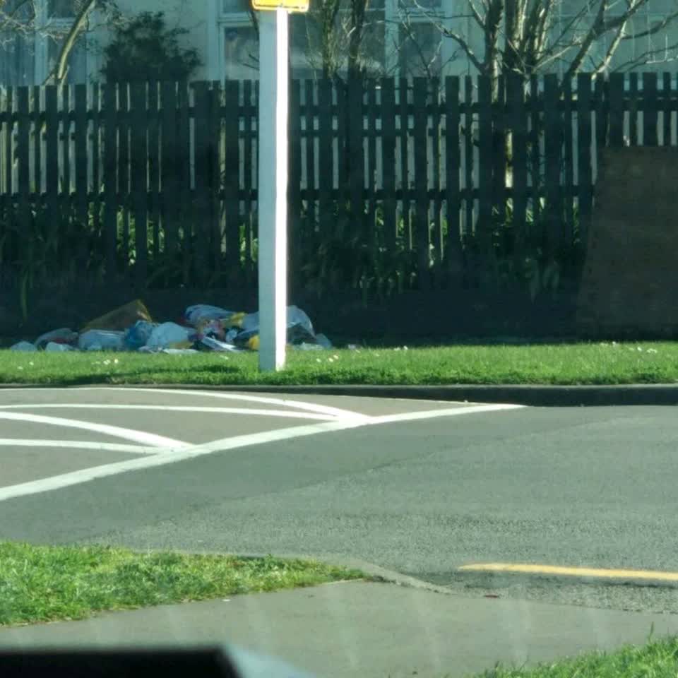 The photograph attached to this rubbish/recycling report