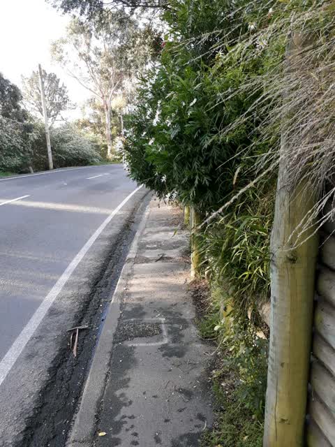 Roading/Streets, a report photo