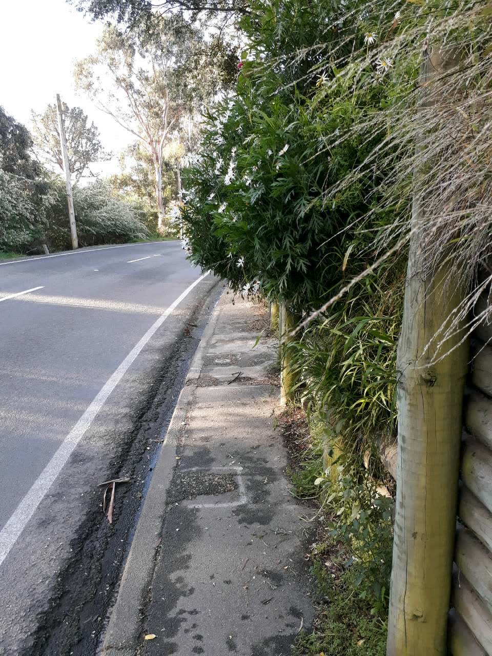 The photograph attached to this roading/streets report