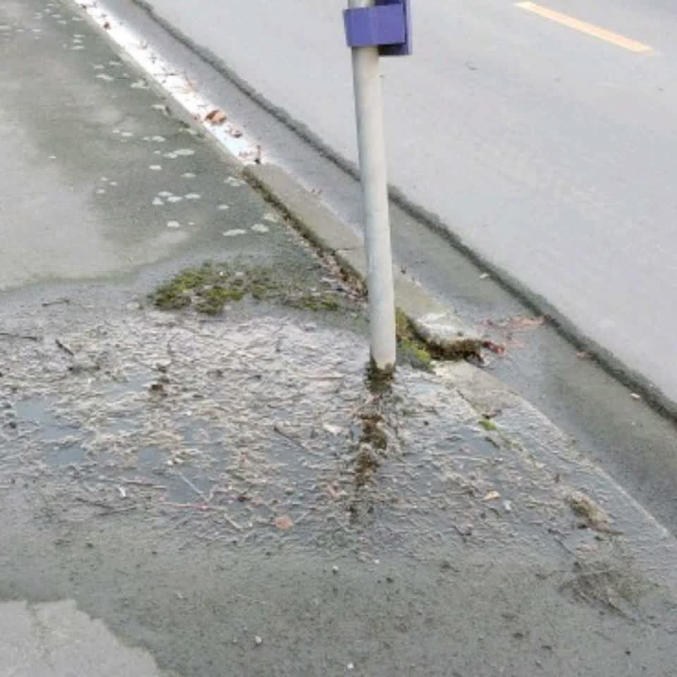 The photograph attached to this water supply report