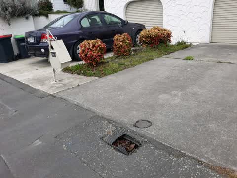 Roading/Streets, a report photo