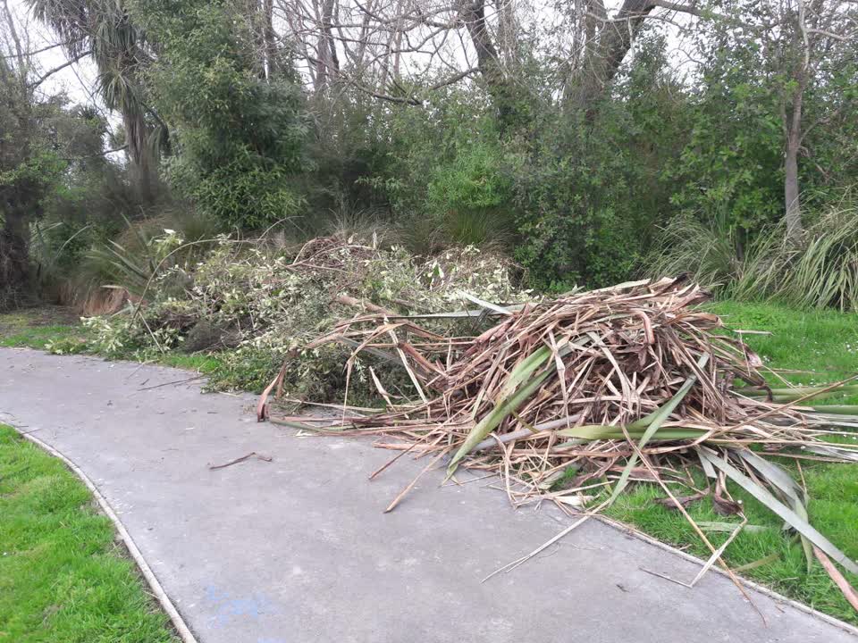 The photograph attached to this parks report