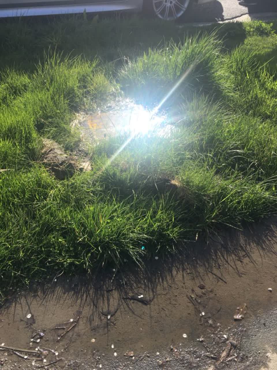 The photograph attached to this water supply report