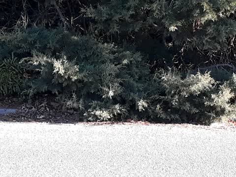 Roading/Streets, a report photo