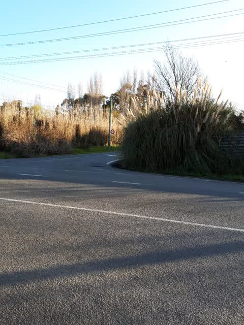 Roading/Streets, a report photo
