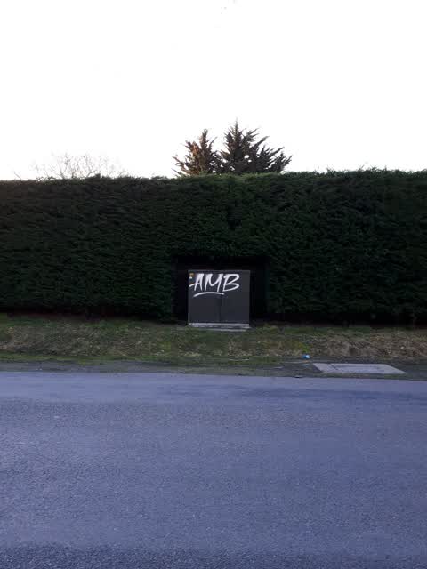 Graffiti, a report photo