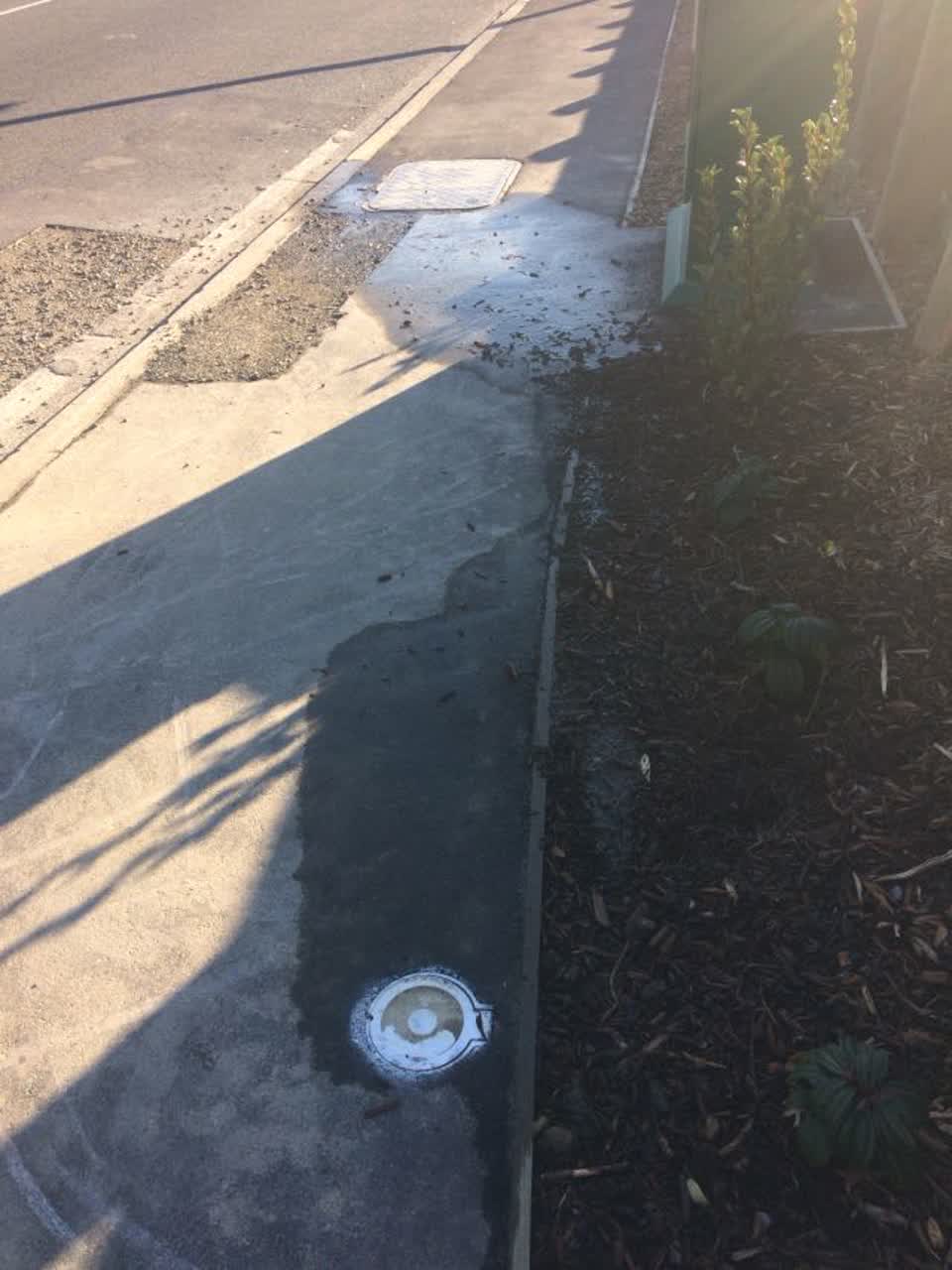The photograph attached to this water supply report