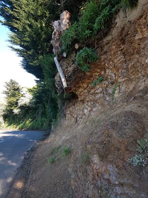 Roading/Streets, a report photo