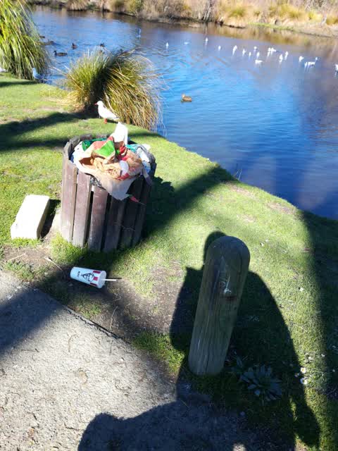 Rubbish/Recycling, a report photo