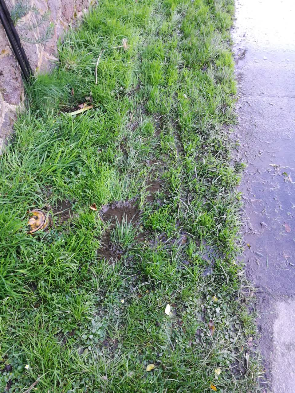The photograph attached to this wastewater/stormwater report