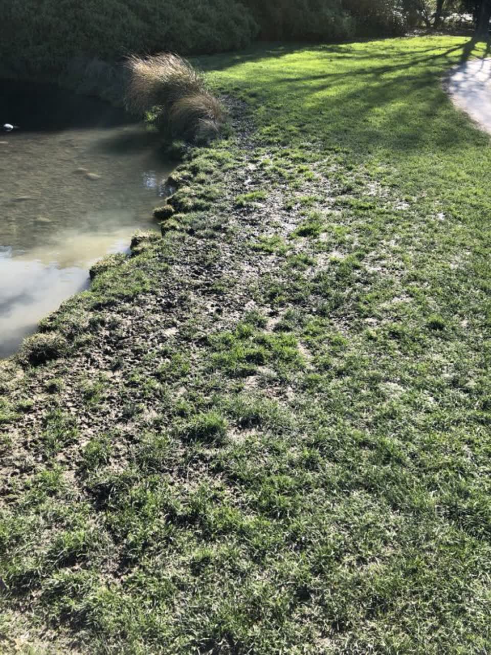 The photograph attached to this parks report