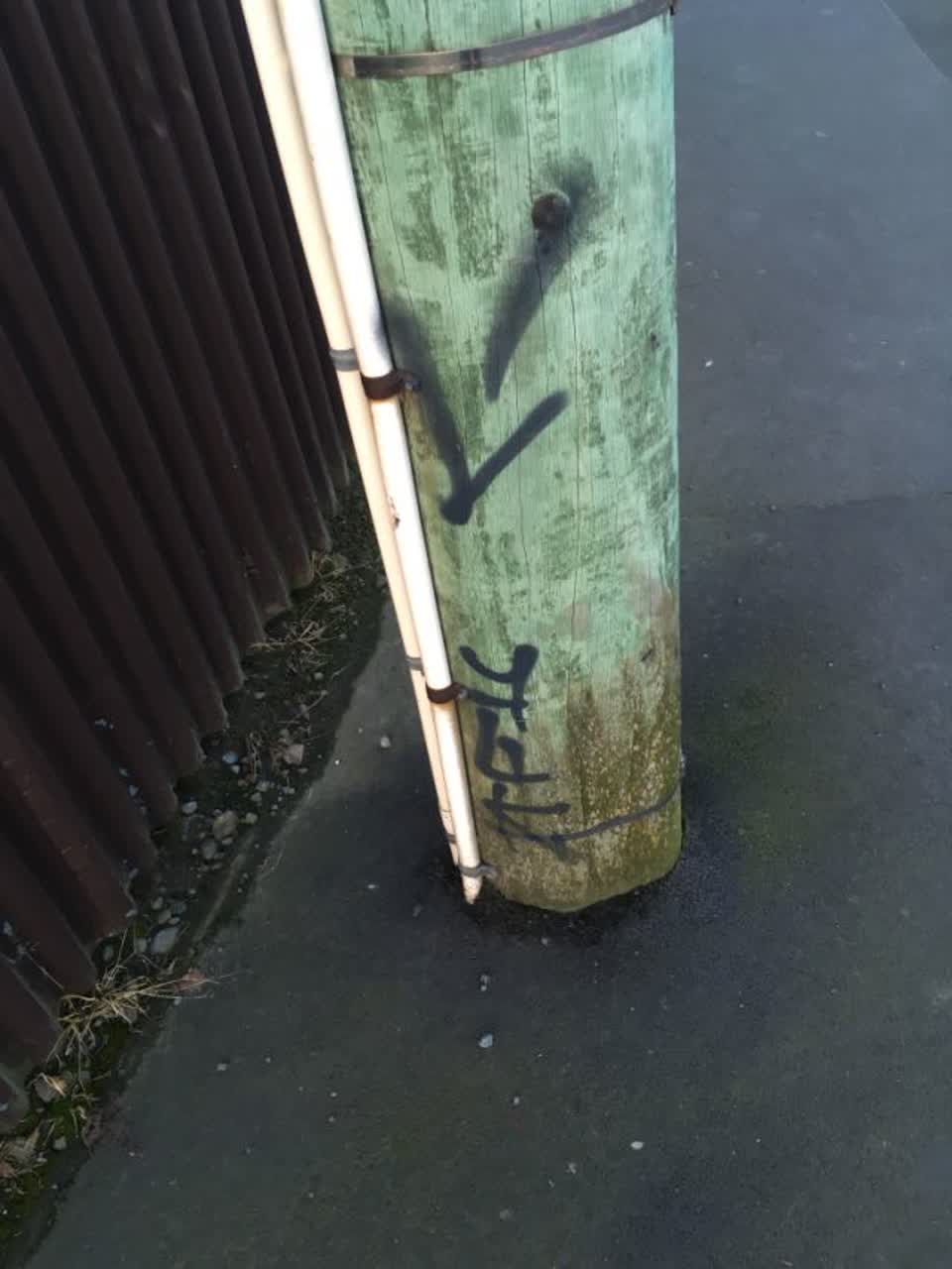 The photograph attached to this graffiti report
