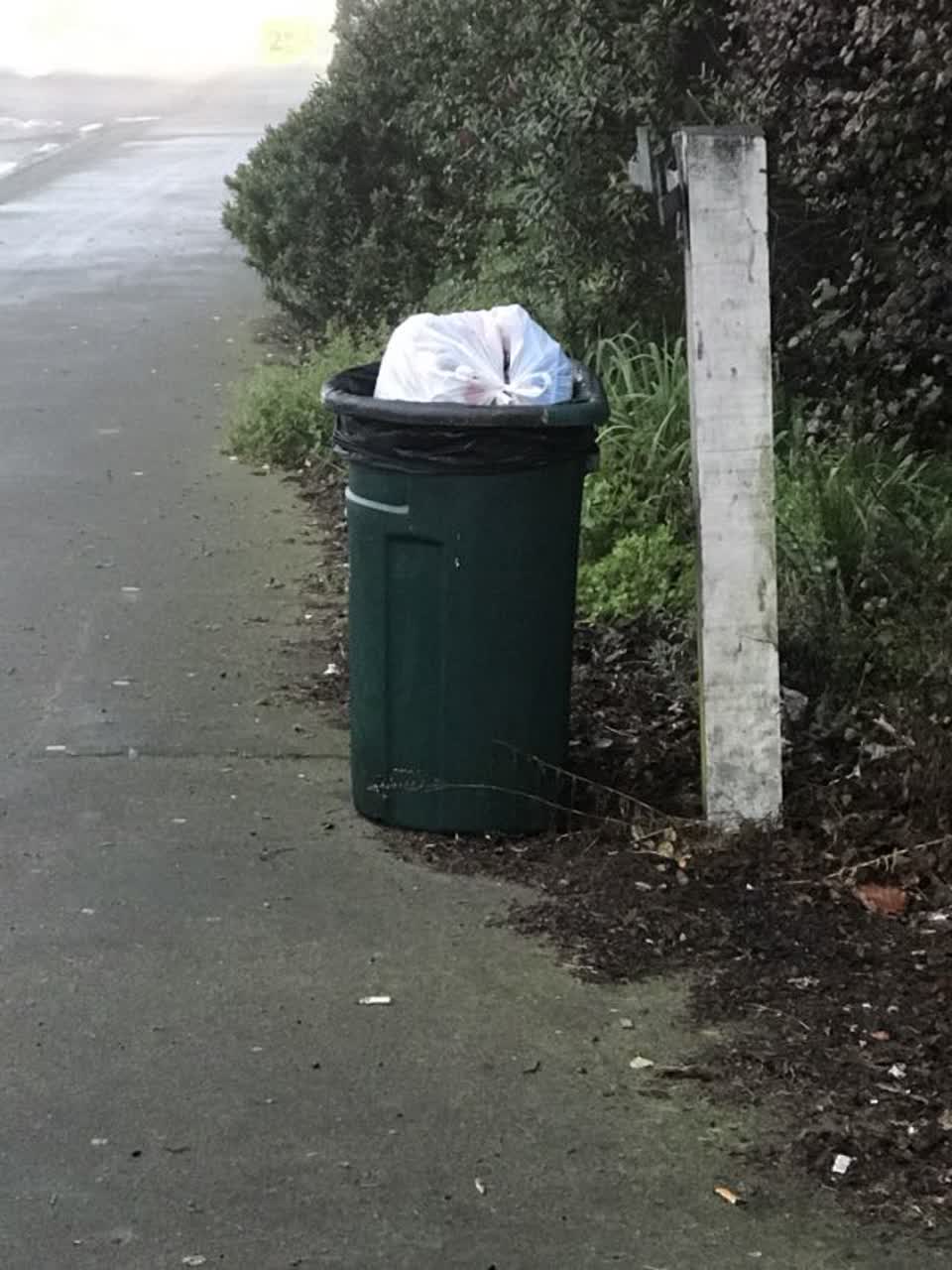 The photograph attached to this rubbish/recycling report