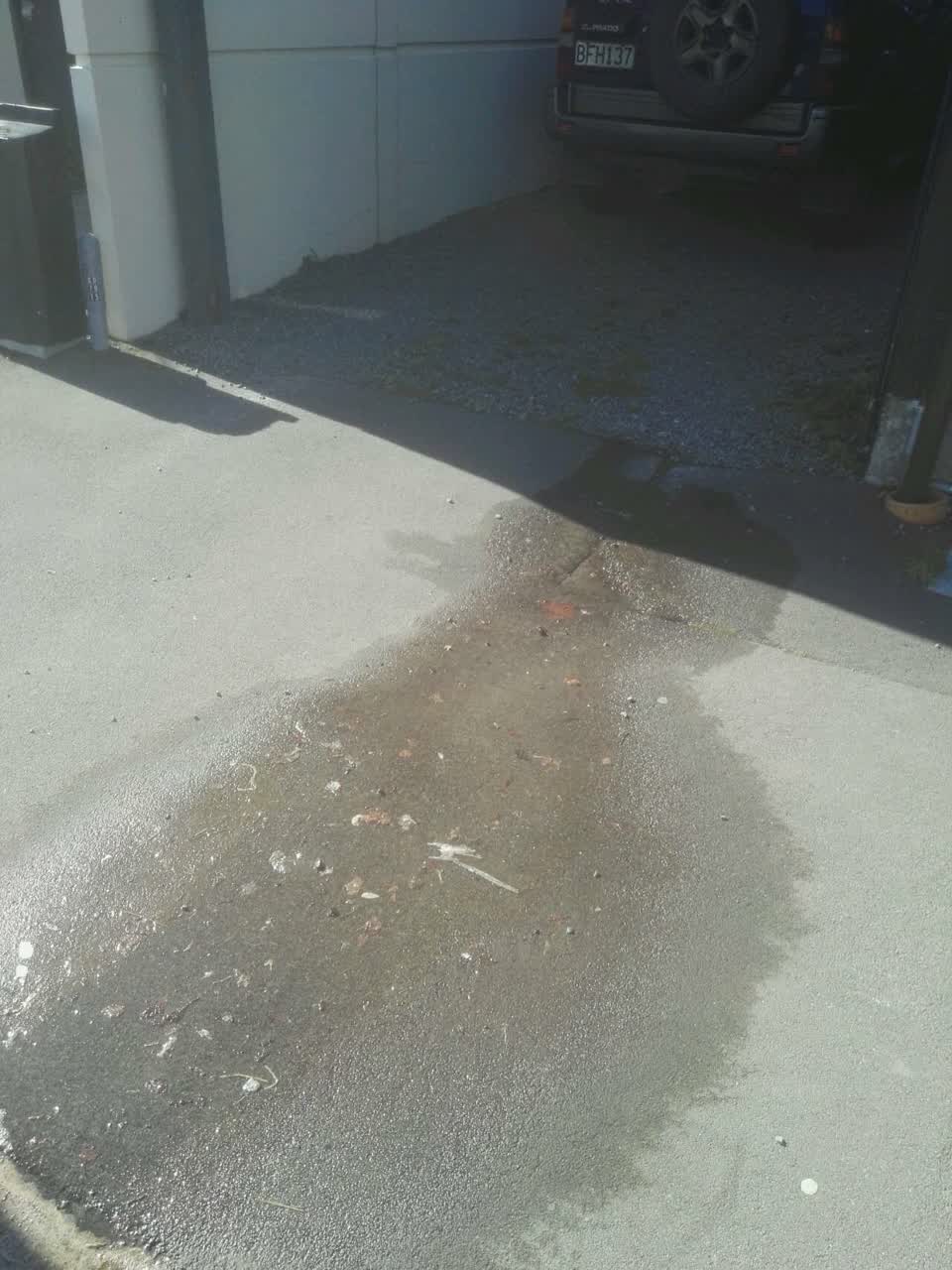 The photograph attached to this water supply report