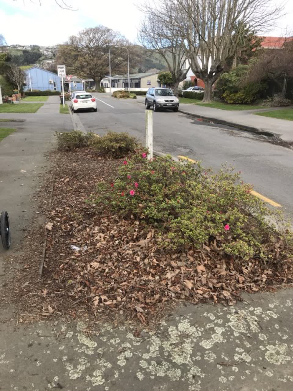 The photograph attached to this parks report