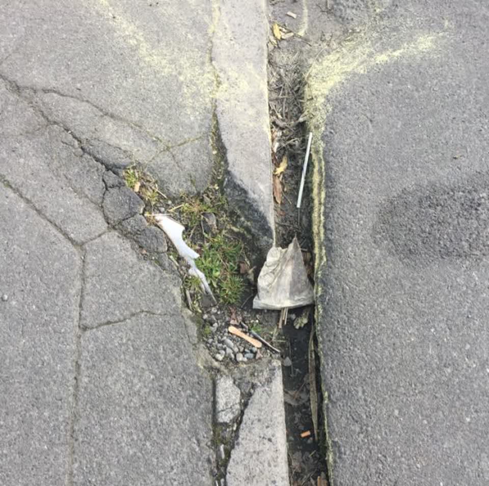 The photograph attached to this roading/streets report