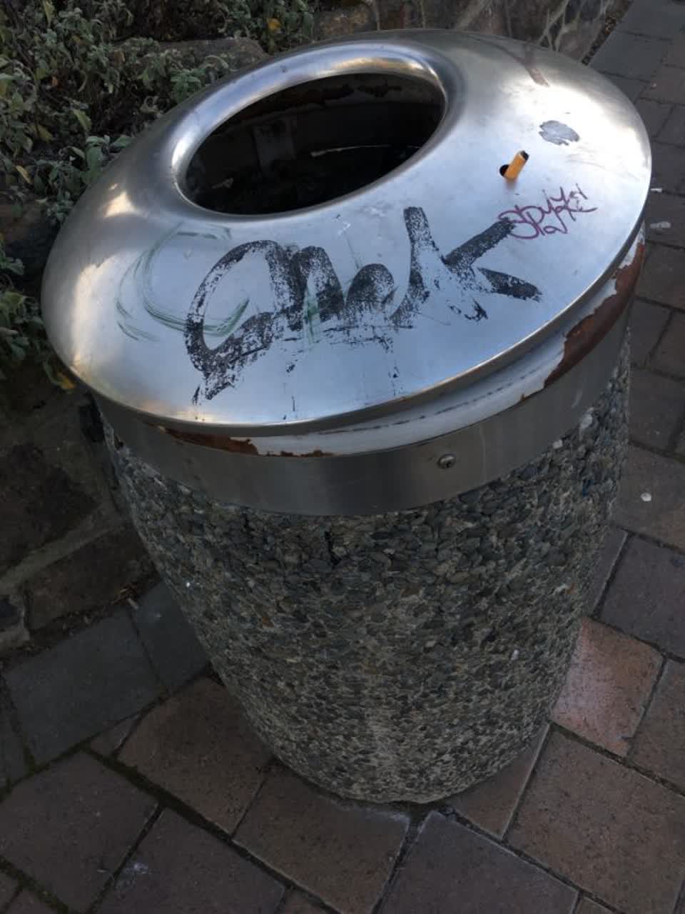 The photograph attached to this graffiti report