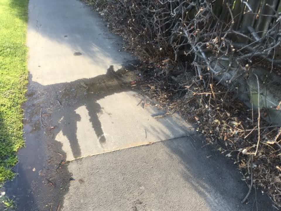 The photograph attached to this water supply report