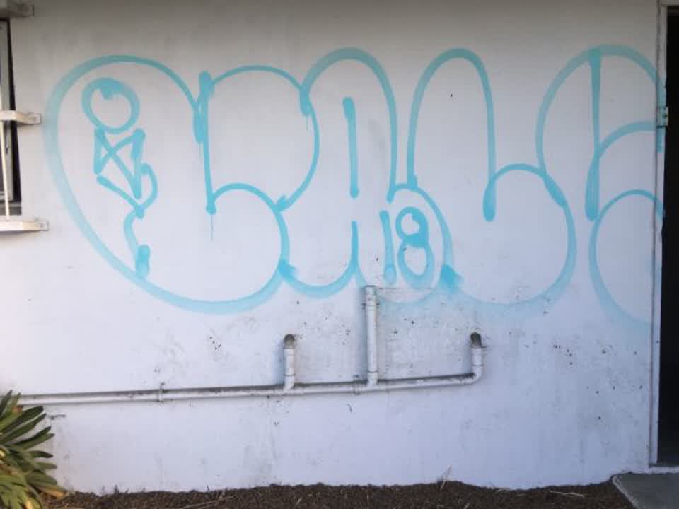 The photograph attached to this graffiti report