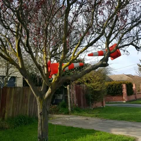Roading/Streets, a report photo