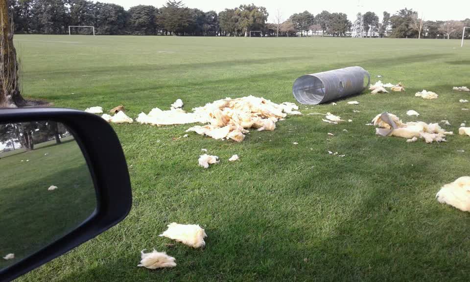 The photograph attached to this parks report