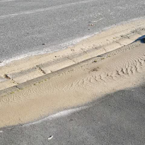 Roading/Streets, a report photo