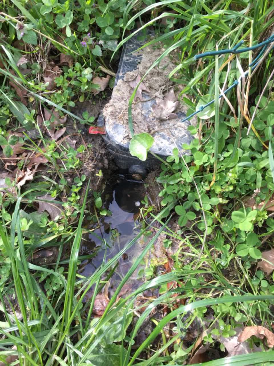 The photograph attached to this water supply report