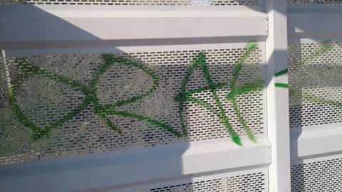 Graffiti — a report photo
