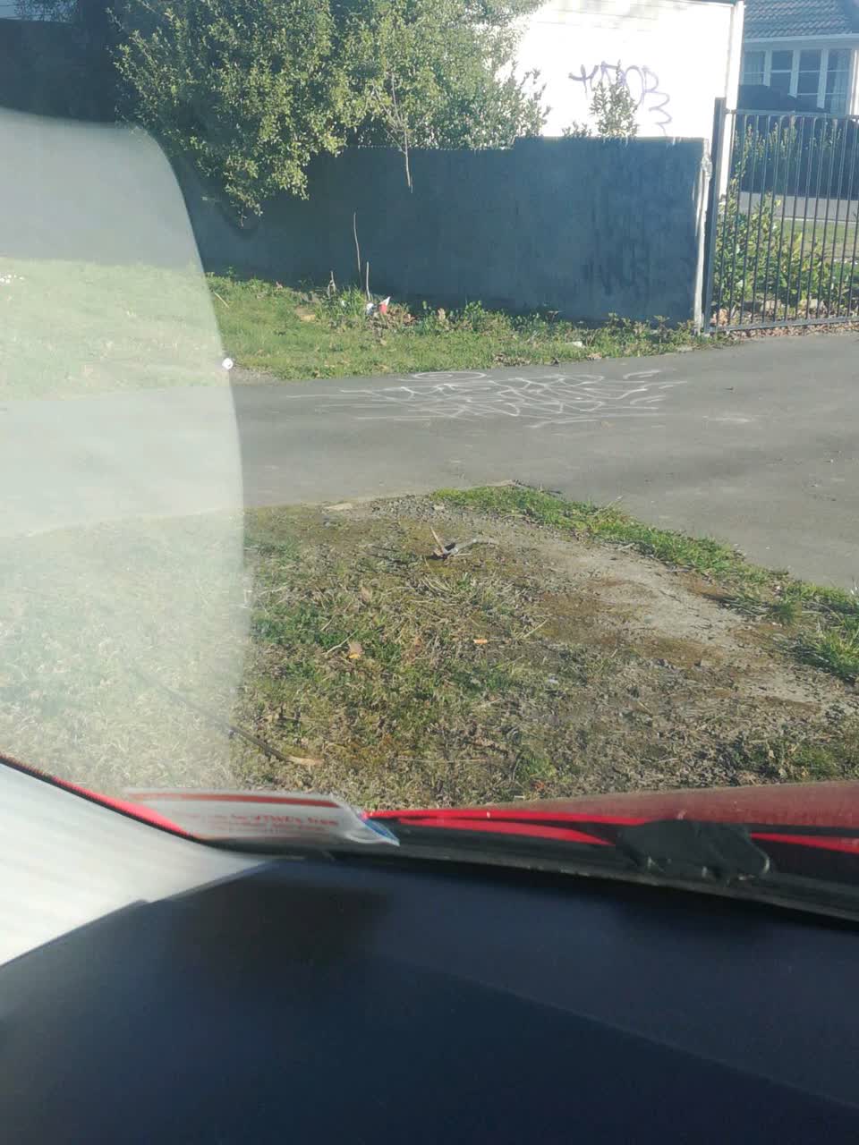 The photograph attached to this graffiti report