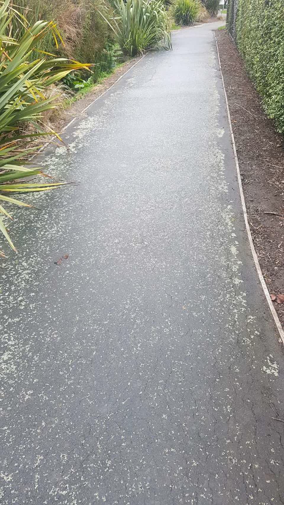 The photograph attached to this roading/streets report