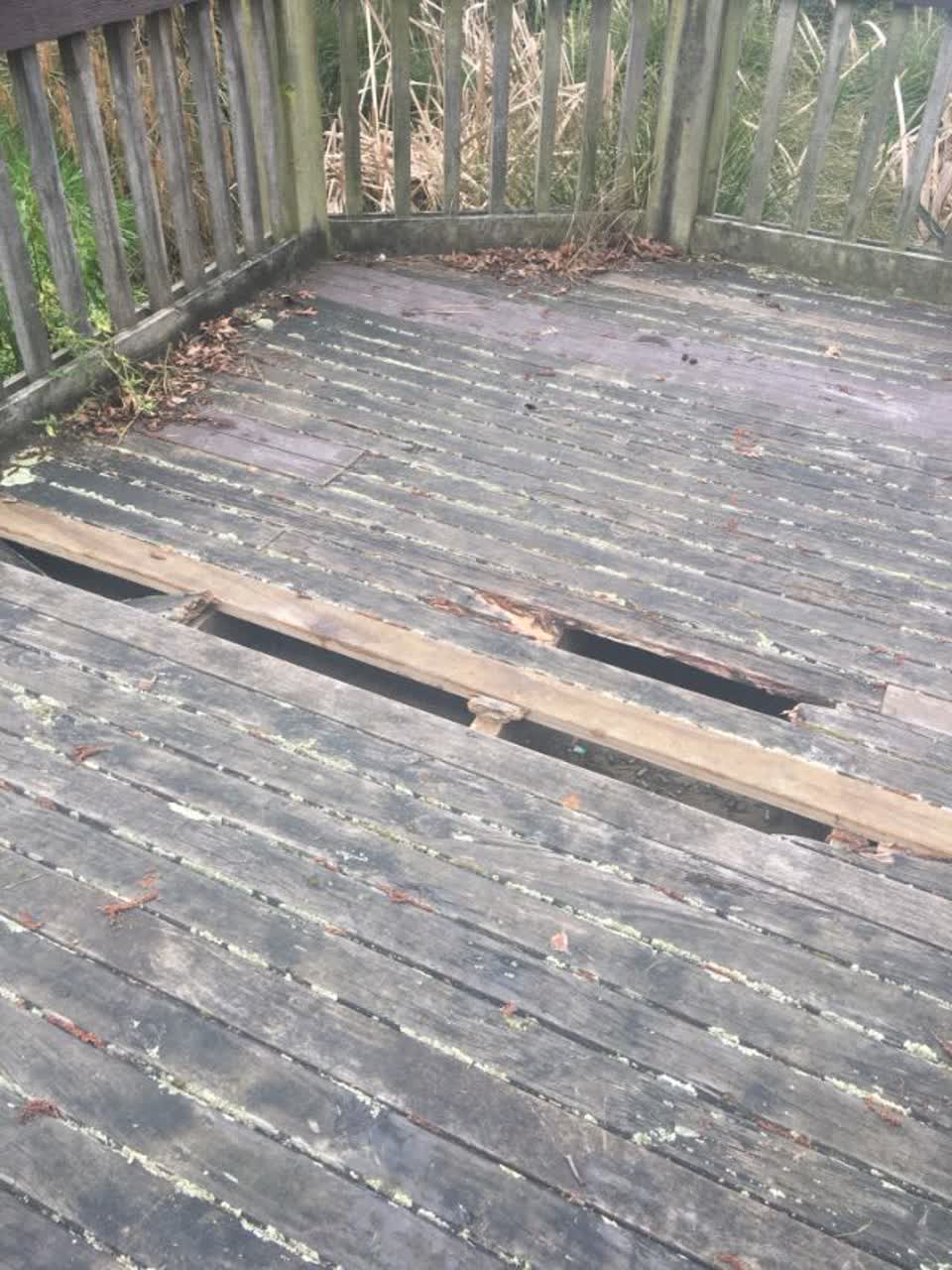 The photograph attached to this parks report