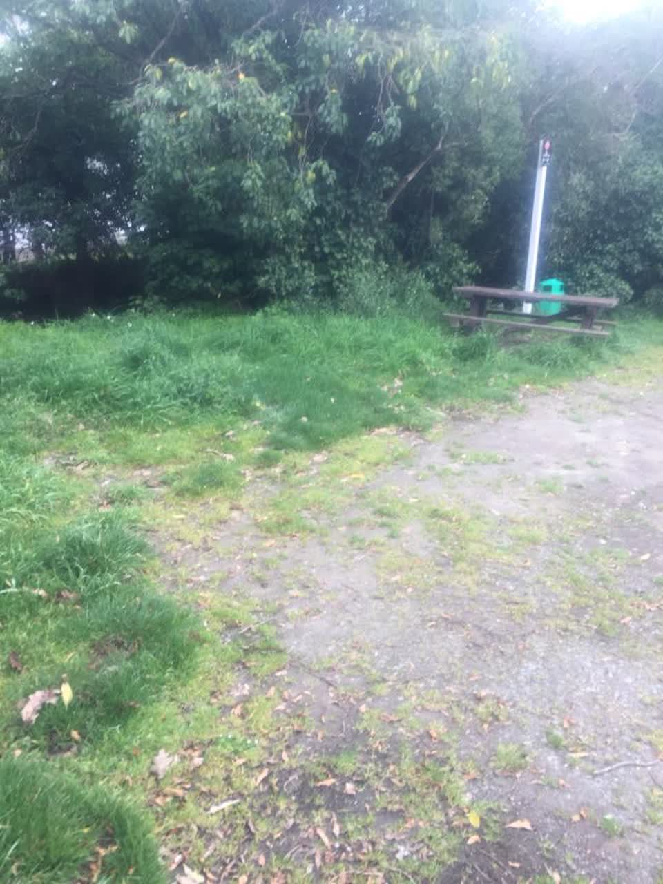 The photograph attached to this parks report