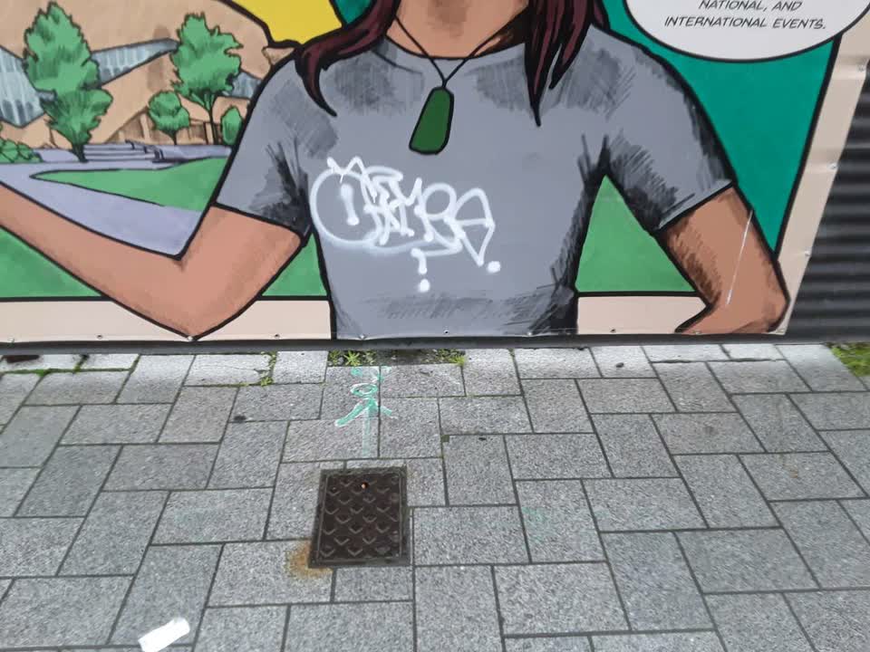 The photograph attached to this graffiti report