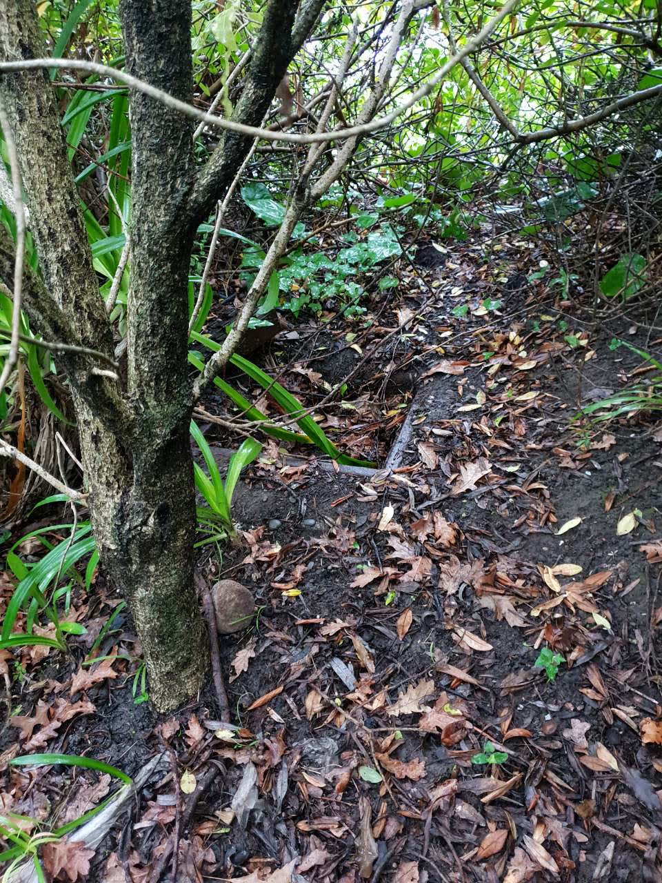 The photograph attached to this wastewater/stormwater report