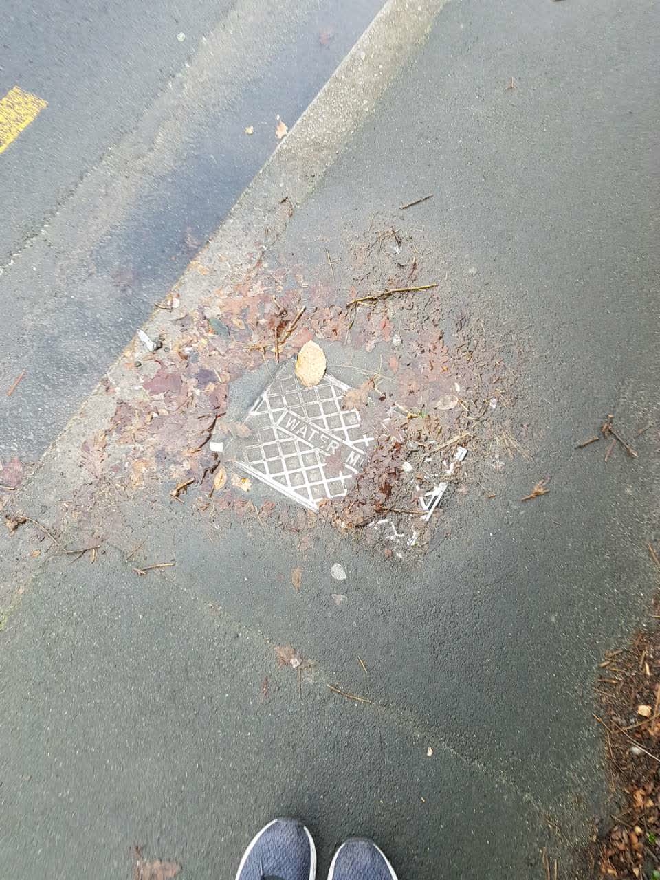 The photograph attached to this water supply report