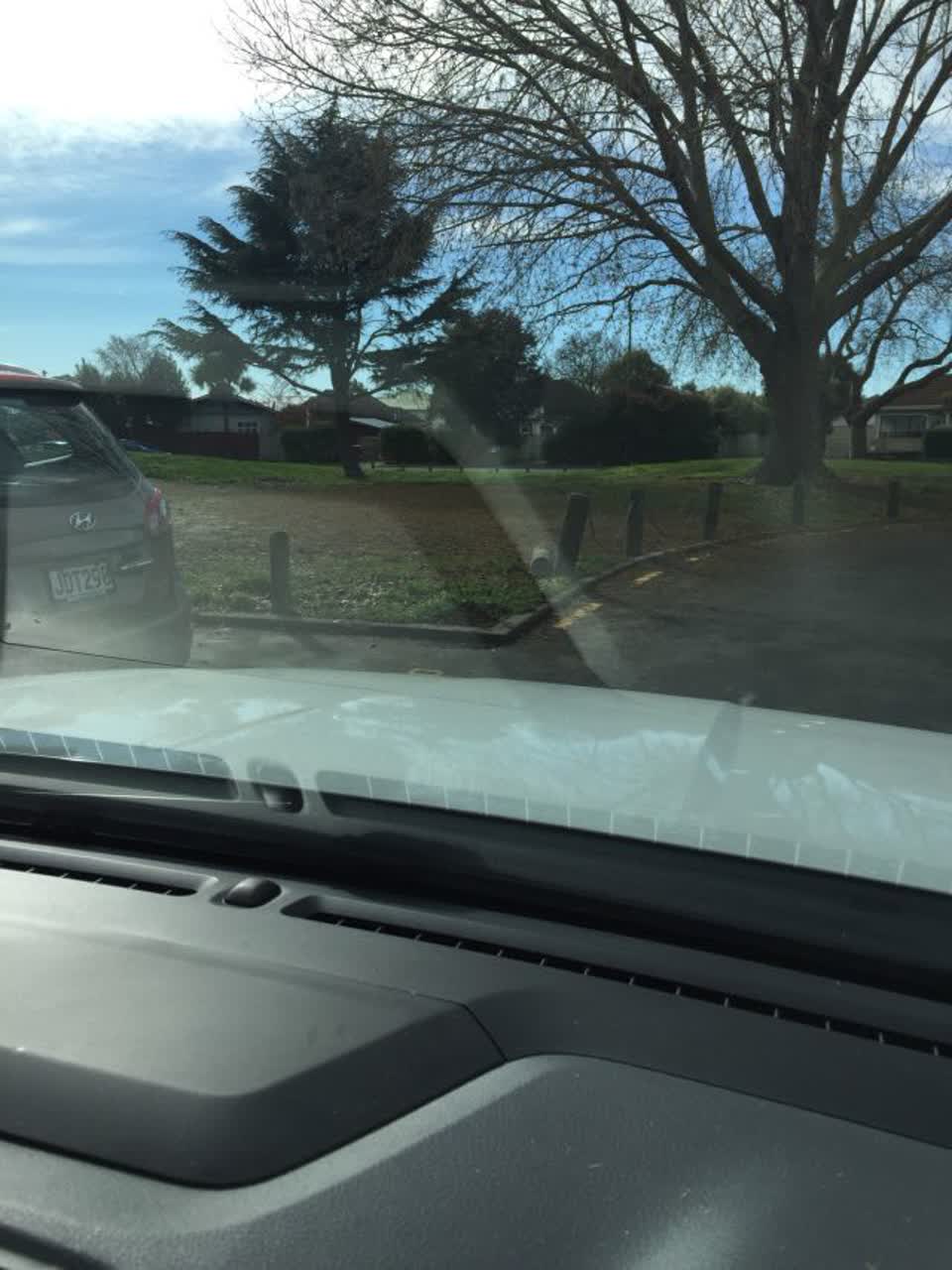 The photograph attached to this parks report