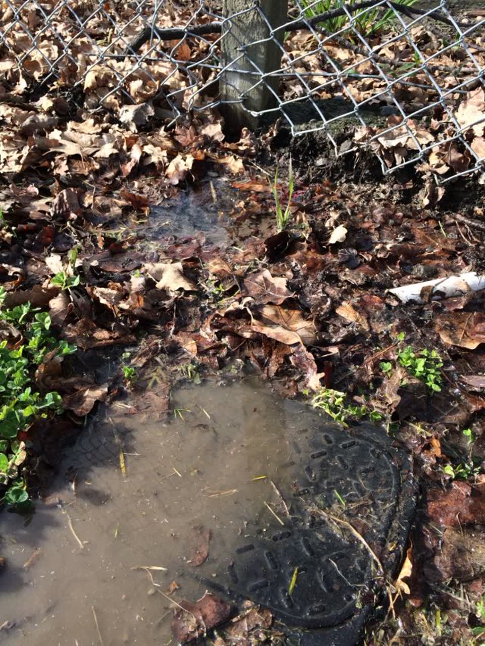 The photograph attached to this water supply report