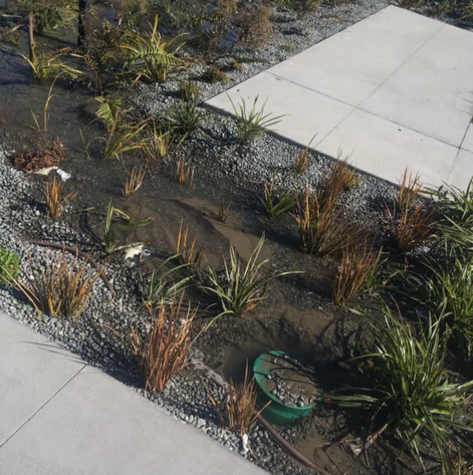 The photograph attached to this water supply report