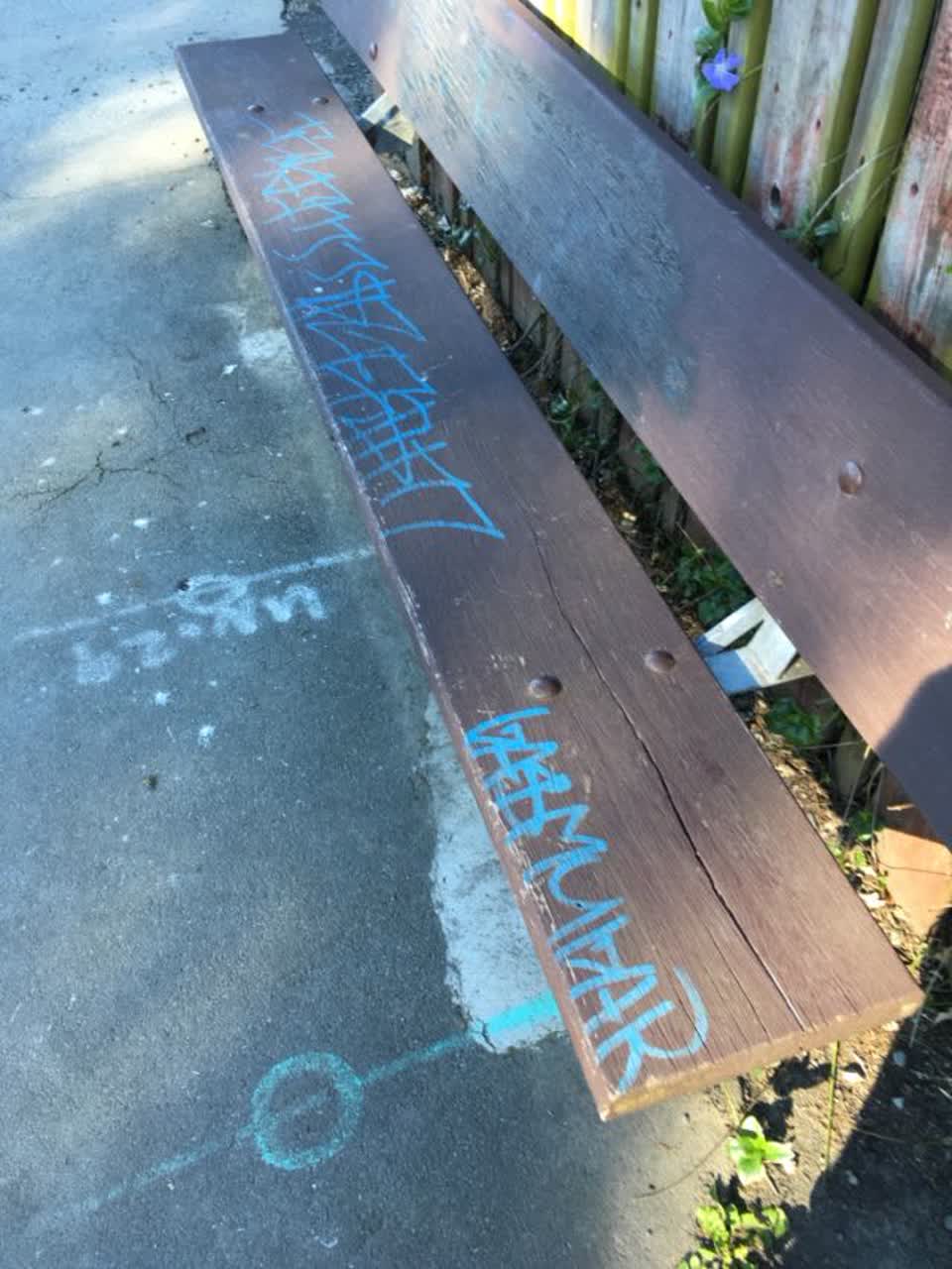 The photograph attached to this graffiti report