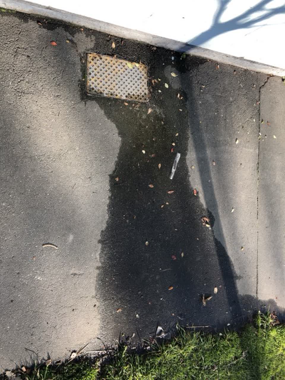 The photograph attached to this water supply report
