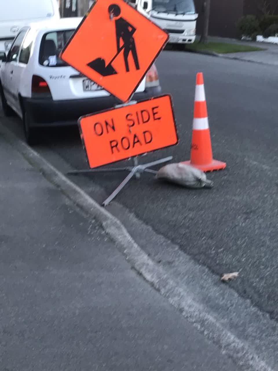The photograph attached to this roading/streets report