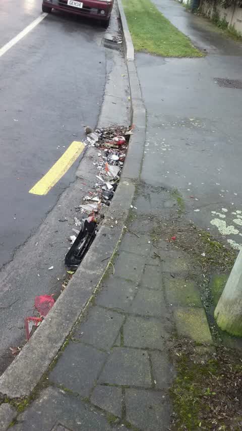 Rubbish/Recycling, a report photo