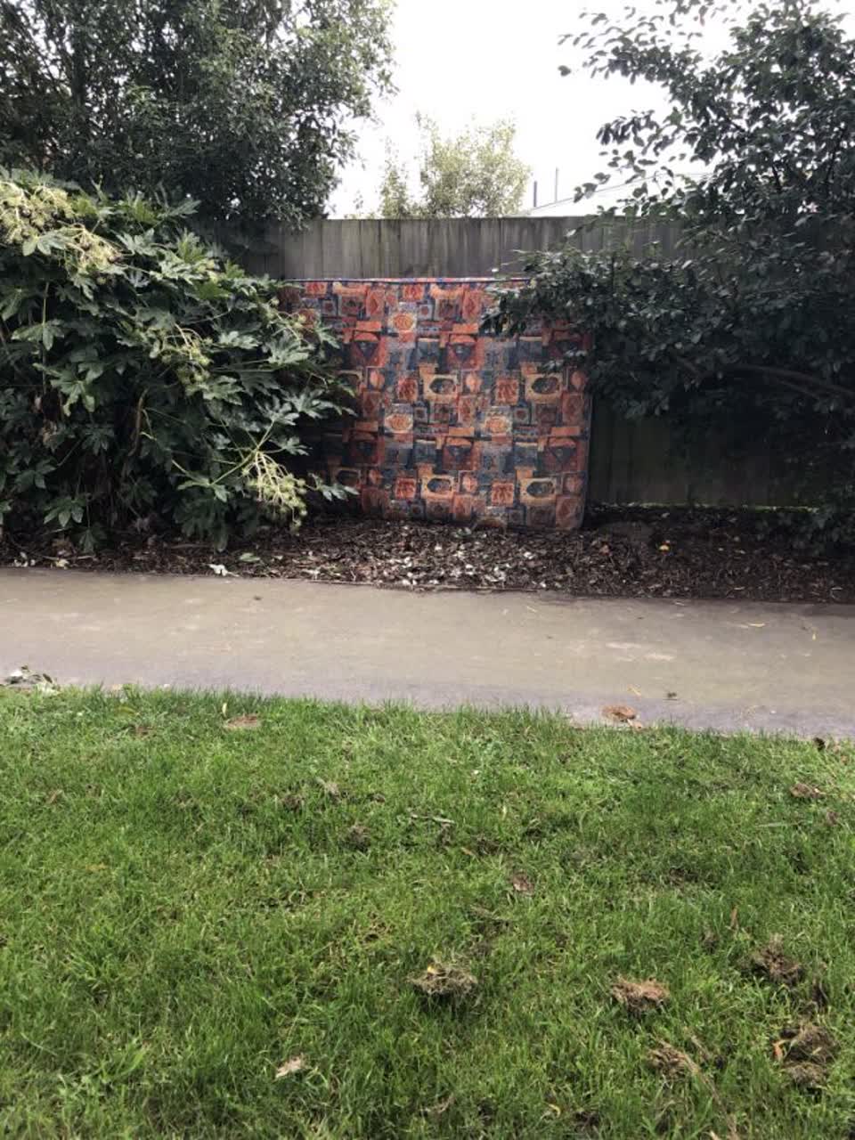 The photograph attached to this parks report